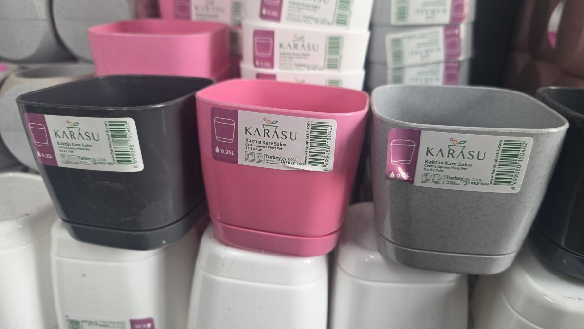 كاسة صبار حجم صغير  مع صحن مدموج فيها