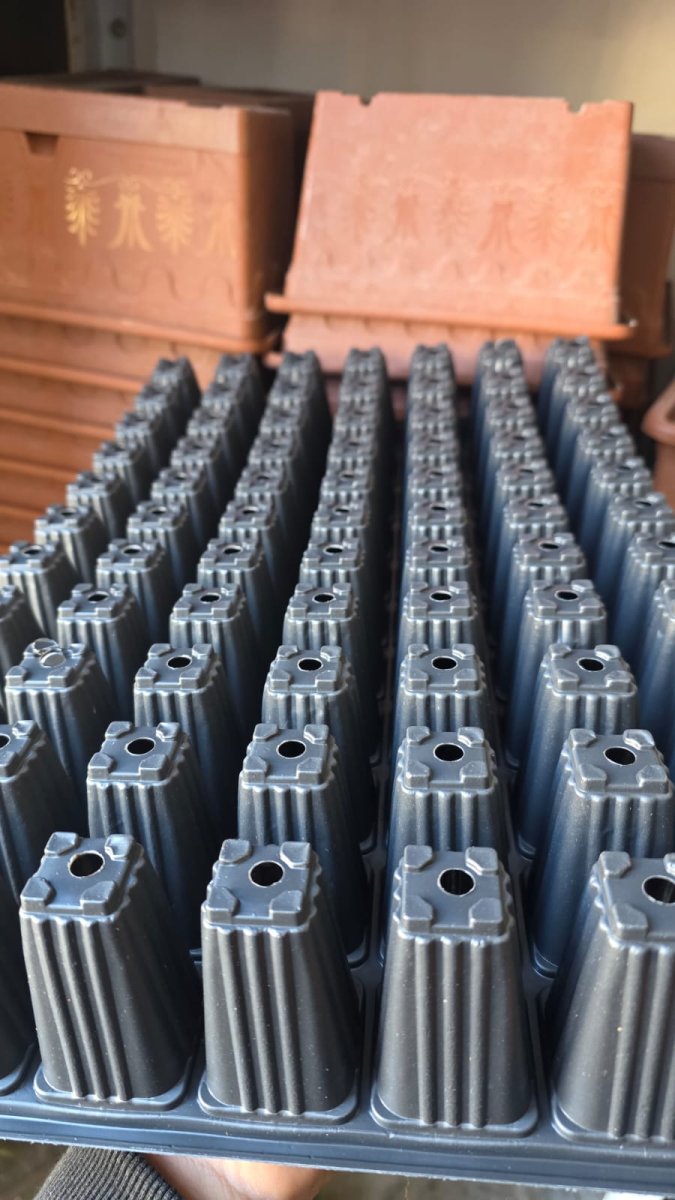 صواني بلاستك 77 خلية