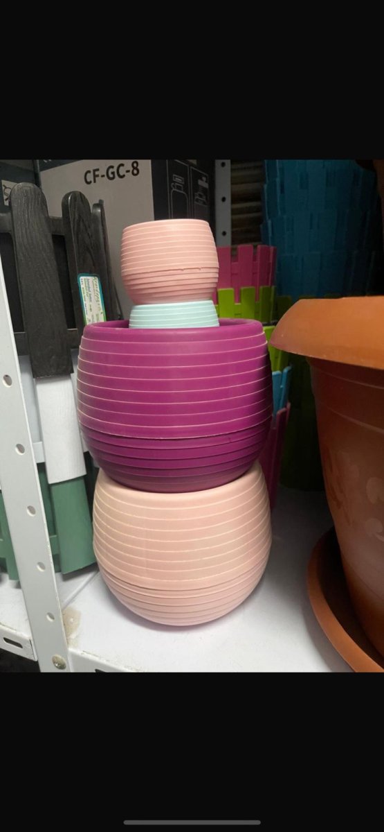 قوار صبار حجم كبير