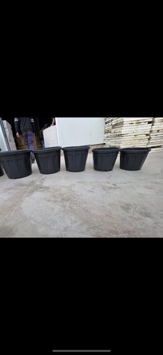 قوار ذات احجام كبيرة