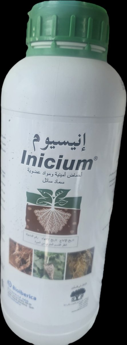 انيسيوم محفز جذري